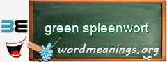 WordMeaning blackboard for green spleenwort